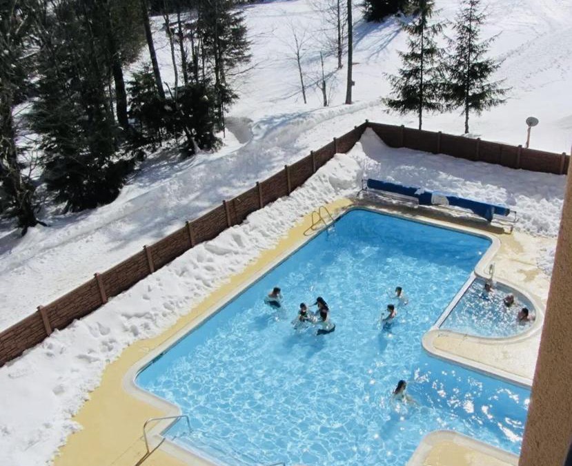 Snowshoe Apartment | Snowshoe Ski-in & Ski-out at Silvercreek Resort - Family friendly, jacuzzi, hot tub, mountain views