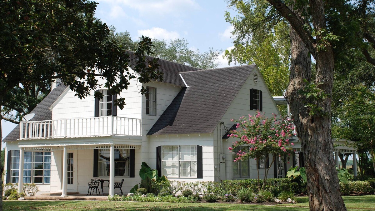 Damon Other | Social Distance on a Texas Ranch, Pet Friendly