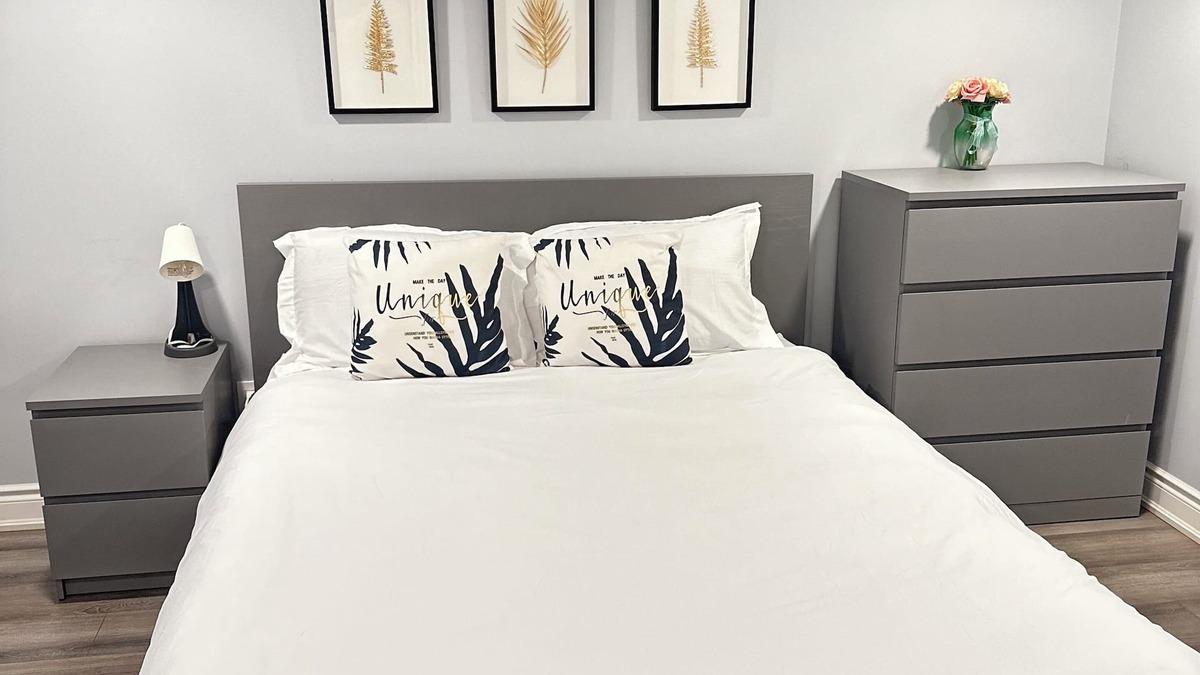 Ajax House | Soft landing spot | Relaxed basement hideout