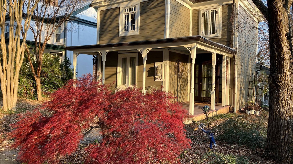Charlottesville House | Solar, 2 BR, 1 Bath, UVa, Preston, Downtown, EV charger