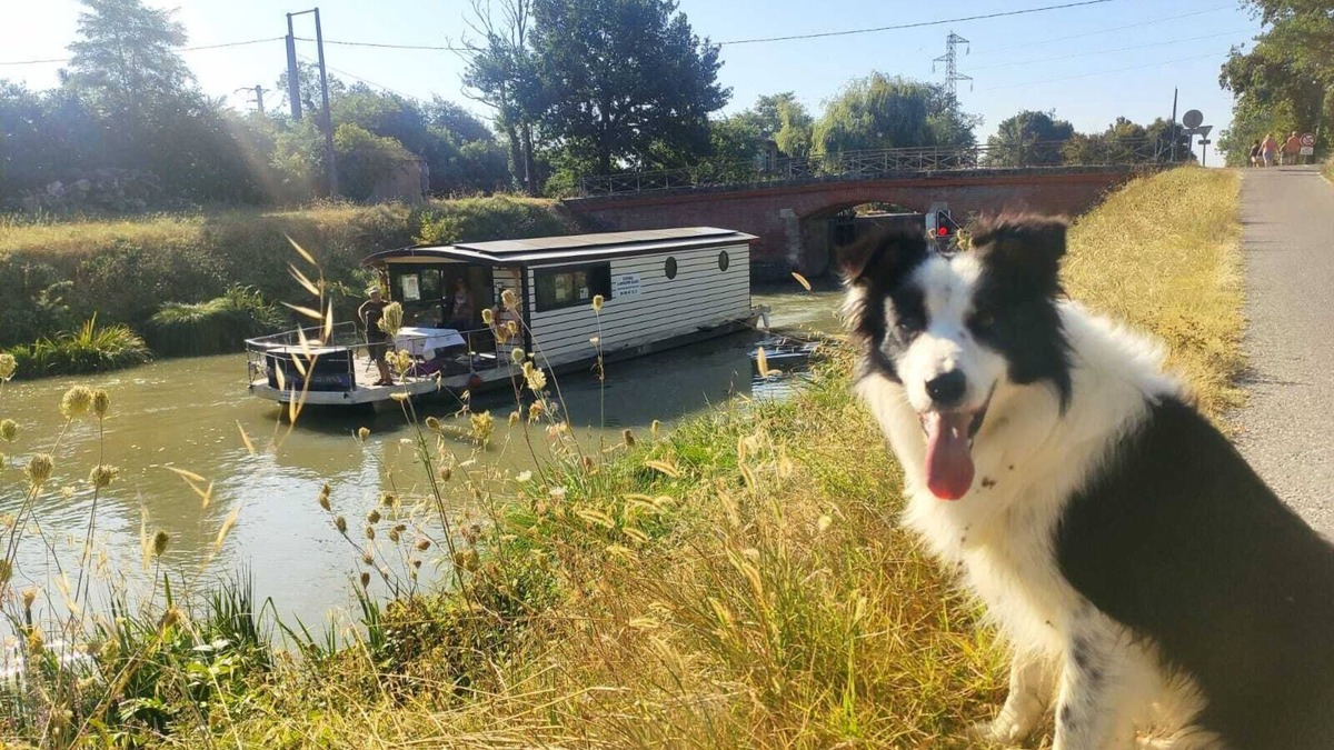 Casseneuil Boat Rental | SOLAR BOAT ON THE GARONNE CANAL departing from CASTELSARRASIN.