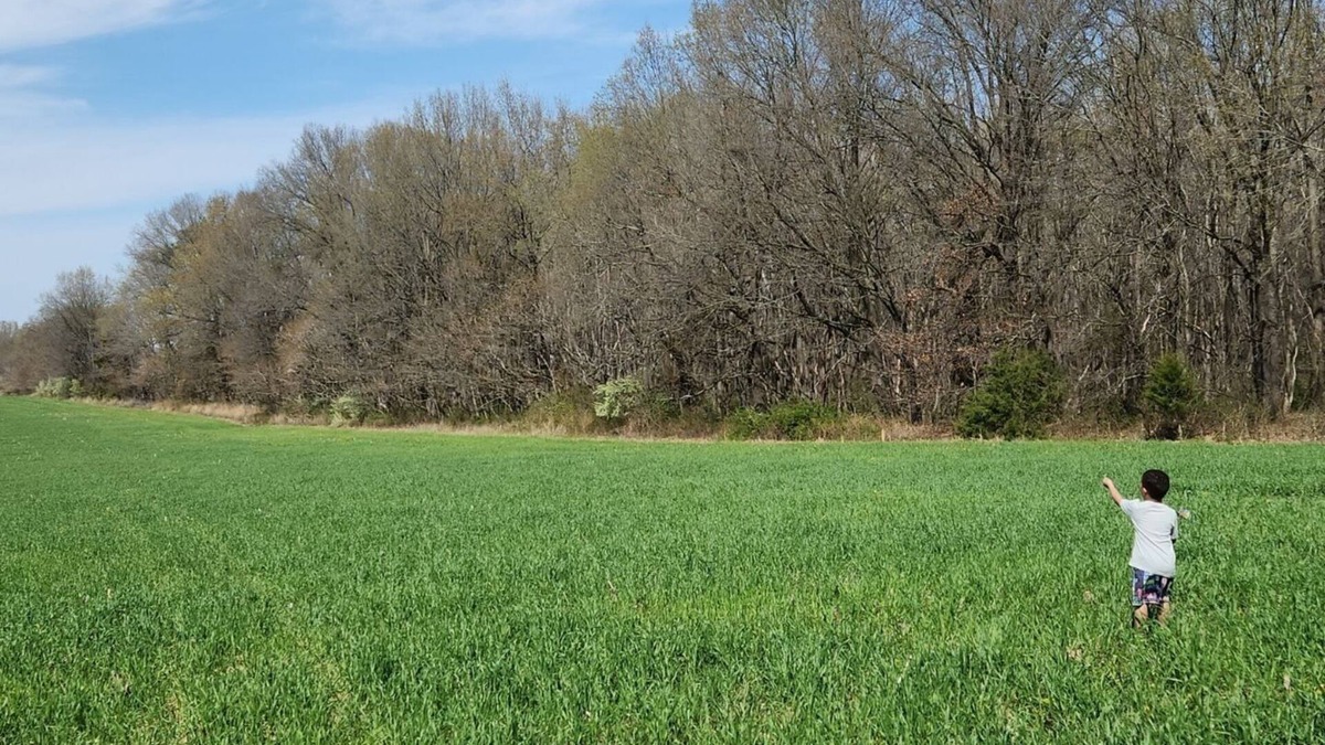 Saline County RV Rental | Solar eclipse in Southern Illinois! Perfect space view and privacy