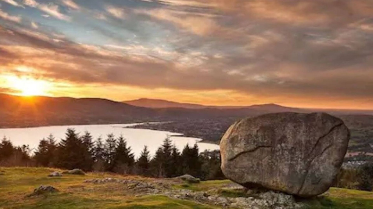 Rostrevor Bed & Breakfast | Solo Guest Suite with Toilet/Shower & Utility Room