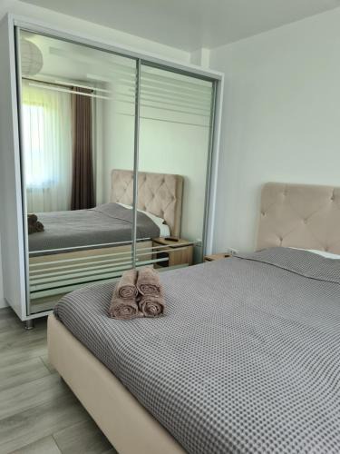 Nord-Est Apartment | Somad Apartment