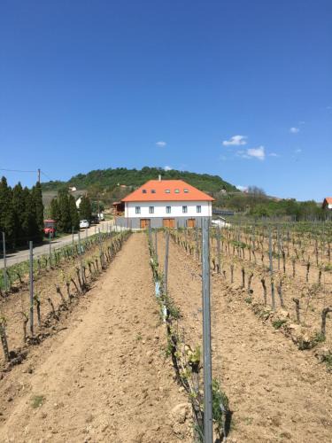 Somlovasarhely House | Somló Kolonics Kúria
