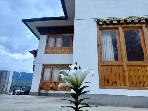 Paro Apartment | Sompal Serviced Apartment