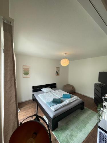 Arbon Apartment | Sonniges Bodensee-Balkonidyll