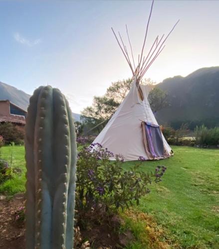 Pisac House | Sonqo Andino Hospedaje Medicina - La Rinconada