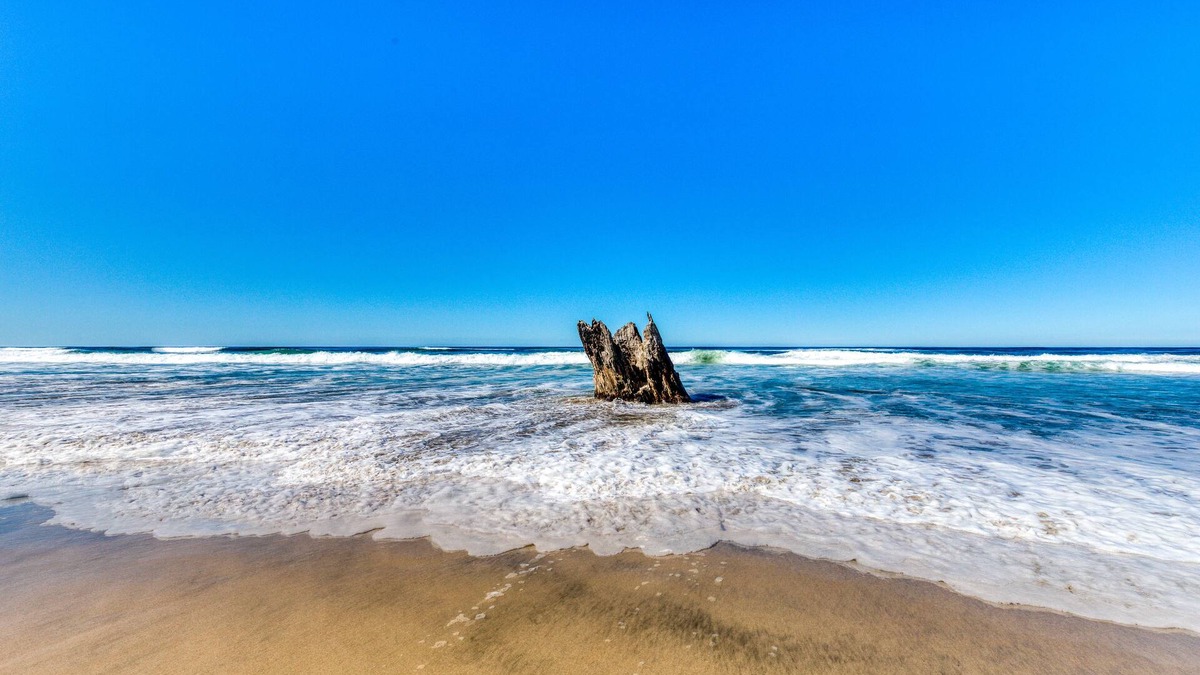 Edgewater Shores Cottage | Sophisticated oceanfront home with beach views & private hot hub - dog-friendly