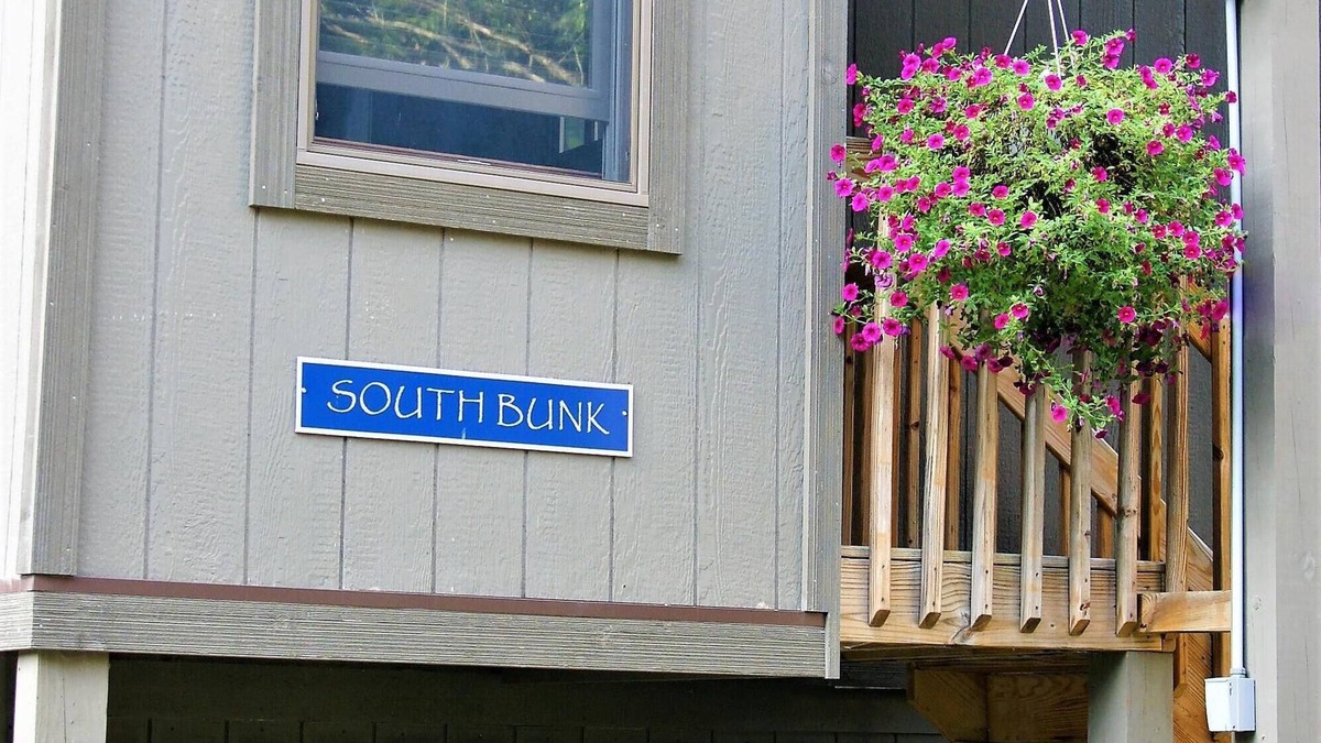 Naples House | South Bunk House - PET FRIENDLY! Built on nature preserve - Shangri-La