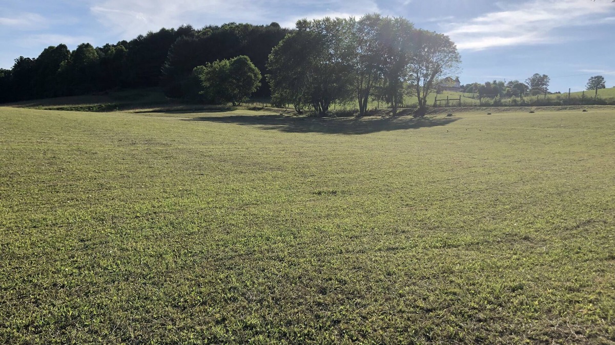 Abingdon RV Rental | South Holston LAKE FRONT area for camping, has water from hose only. No hookups.