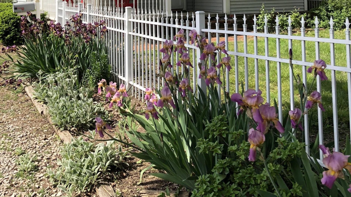 Springfield House | Southern Charmer near downtown