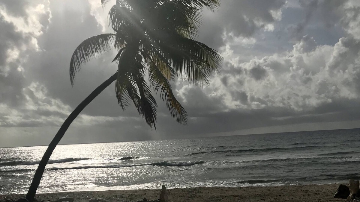 West End House | Southern Exposure, Secluded New Beach House on Cayman Brac! Divers delight!