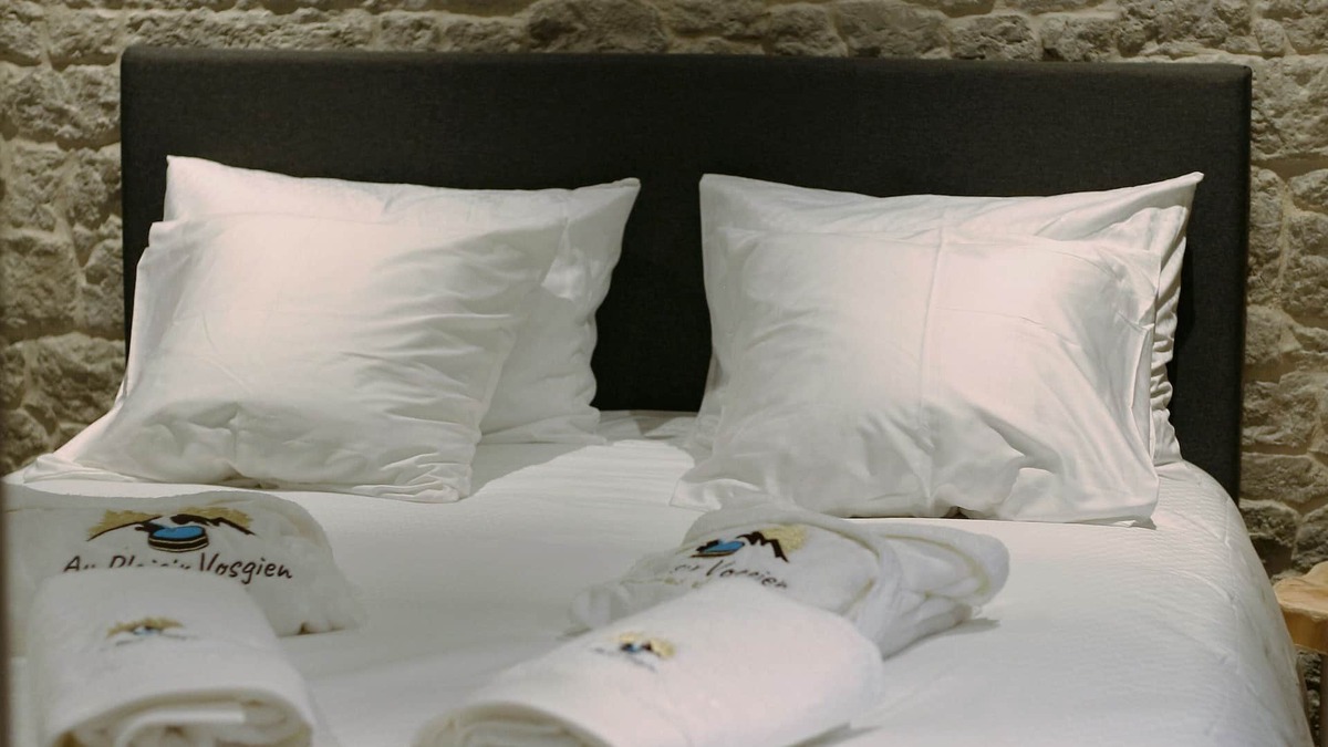 Raon-l'Etape Apartment | spa room