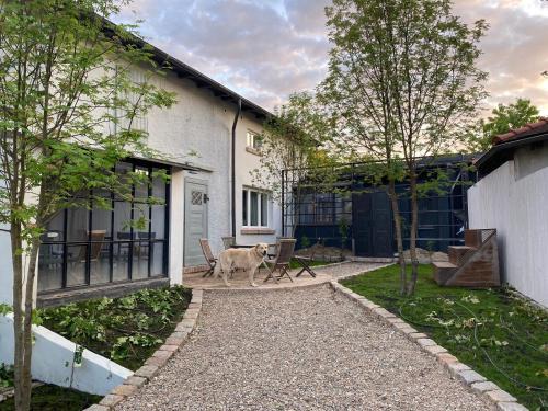 Lagow House | Spacerowa 5