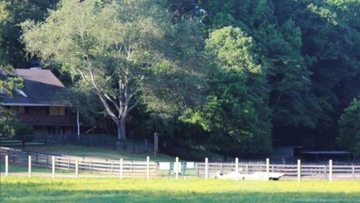 Milton Other | Spacious 2 BR/1.5 BA farmhouse in Alpharetta, GA horse country.