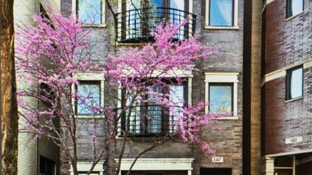 Noble Square Condo | Spacious 3/2 Duplex In Wicker Park Area