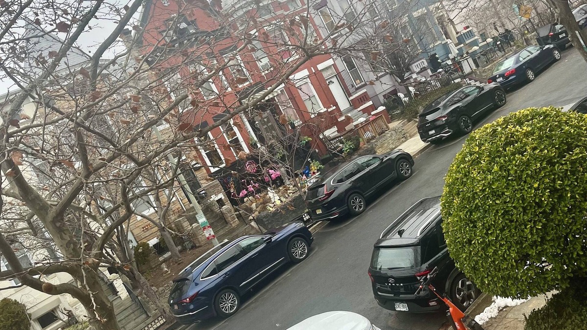 Eckington Apartment | Spacious 3-bedroom English Basement Walk to metro, NW DC, 1-mile to White House