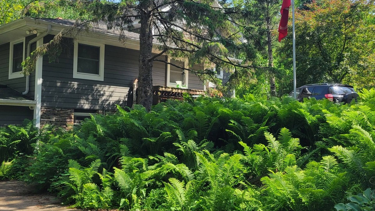 Afton Other | Spacious 3-bedroom Ranch getaway in charming Afton MN with AC, WiFi