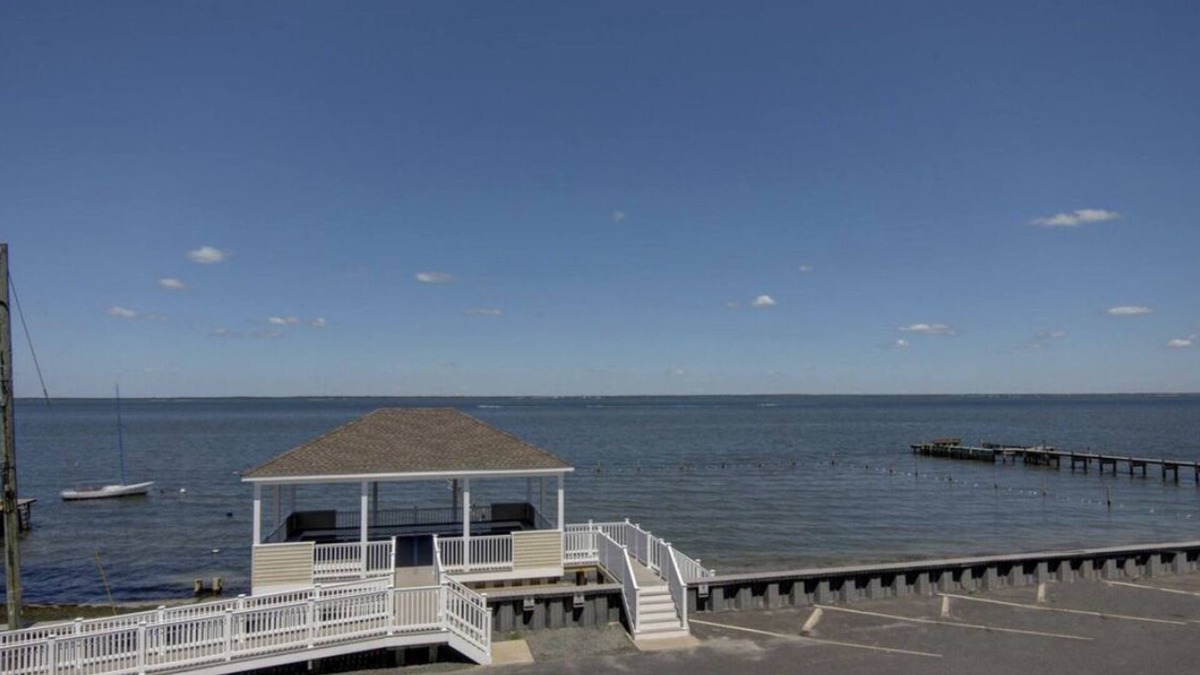 Beach Haven Terrace House | Spacious 4/5 Bedroom Home with Beautiful Bay Views