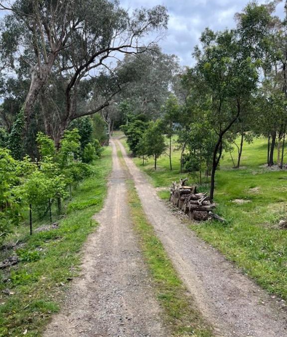 Warrandyte House | Spacious 4 bed, 2 lounge, 2 bath, Acre home with tree top views - Yarra Valley Gateway!