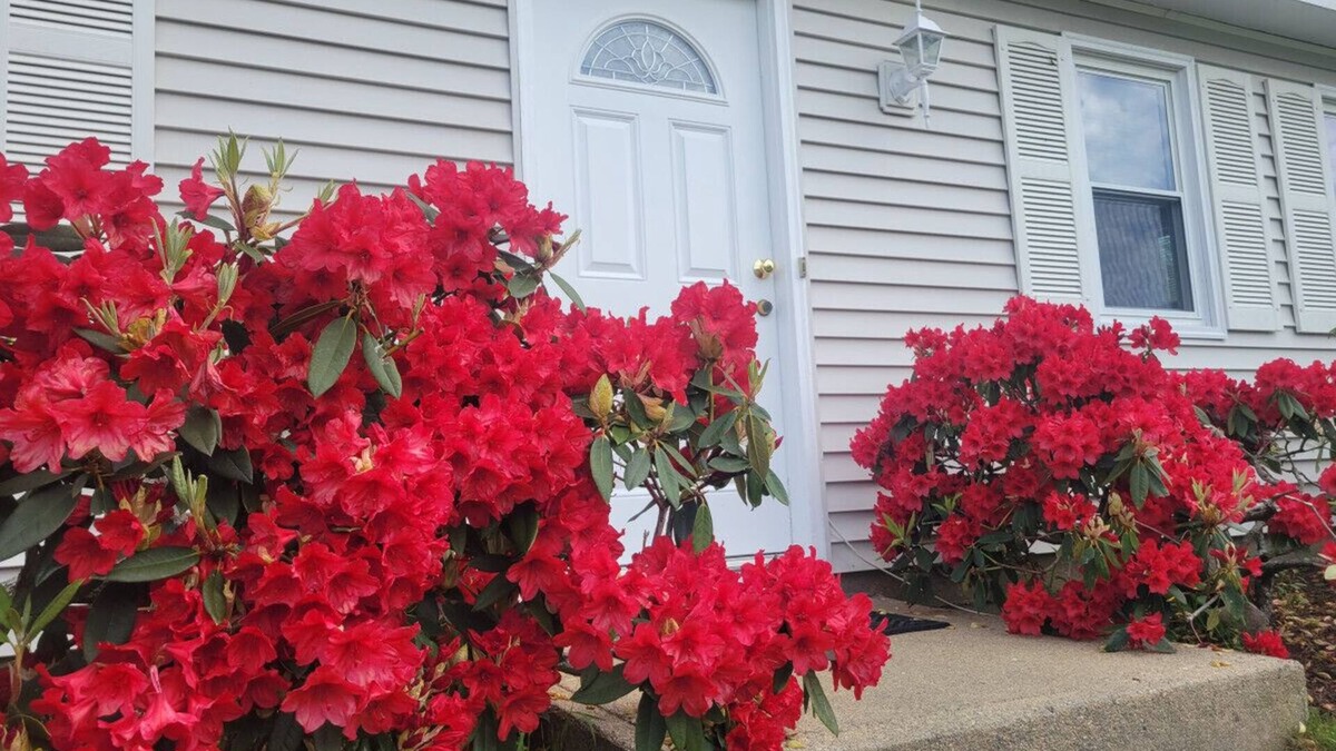 Eastward Look House | Spacious 5BR Beach House Vacation-walk to Scarborough!