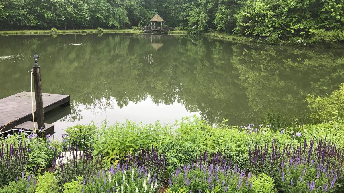 Marshall Apartment | Spacious and Secluded Studio Apartment on Pond Near Village of Orlean