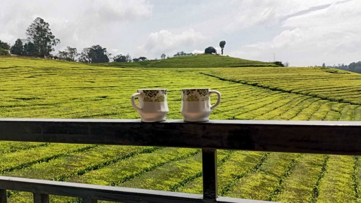 West Mere House | Spacious and serene space with Tea Estate view from every room.n