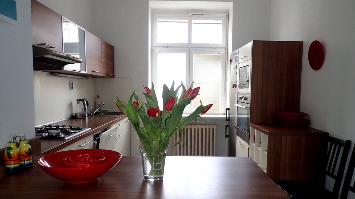 Nove Mesto Apartment | Spacious apartment near the center