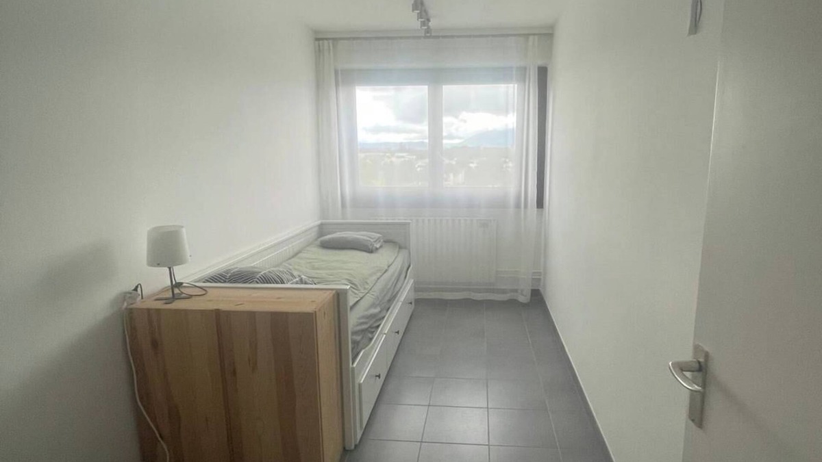 Ferney-Voltaire Apartment | Spacious apartment near the UN