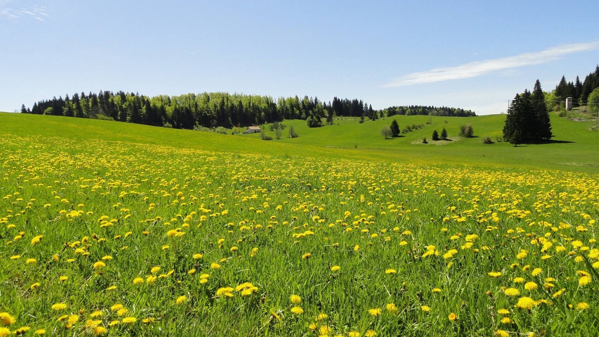 Paroisse des Monts de Bienne Apartment | SPACIOUS APARTMENT -COMFORT-COMFORT IN THE HEART OF NATURE