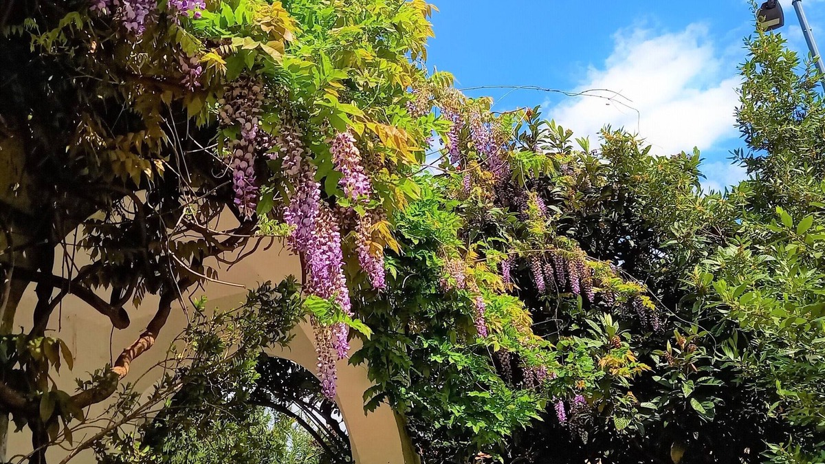 Precotto House | Spacious apartment in detached cottage with lovely garden