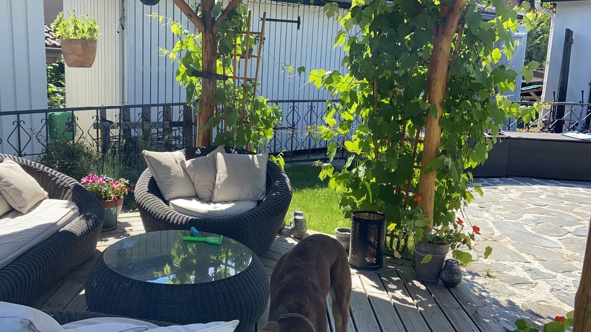 Prevessin-Moens Villa | Spacious beautiful house with pool just outside Geneva