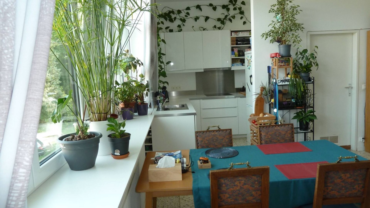 Profondeville Apartment | Spacious, bright and comfortable apartment - located in the forest in the valley