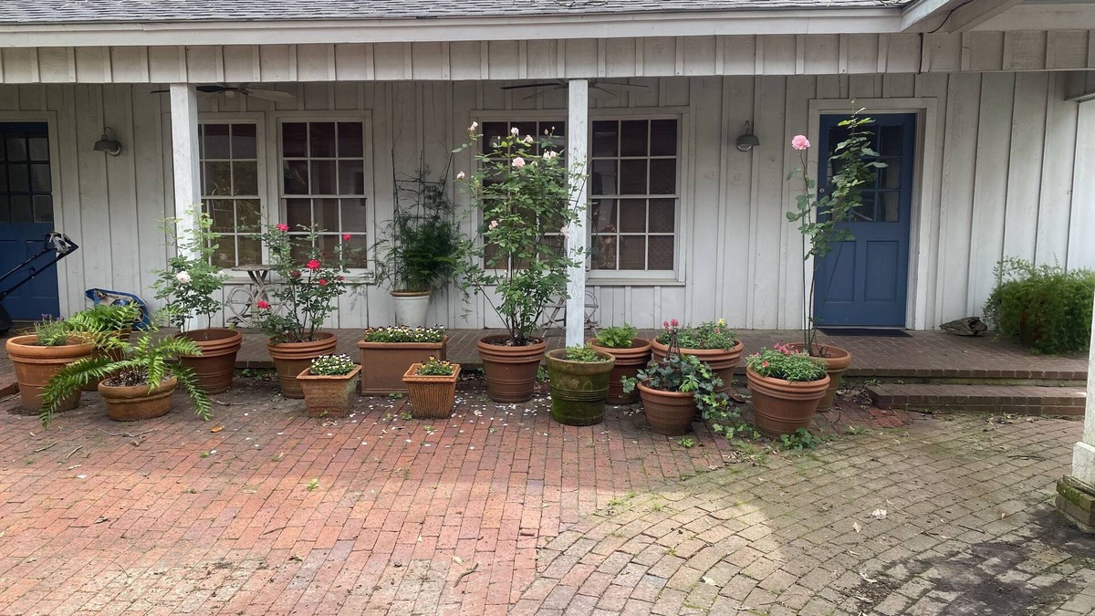 Jefferson House | Spacious Carriage House with garden patio