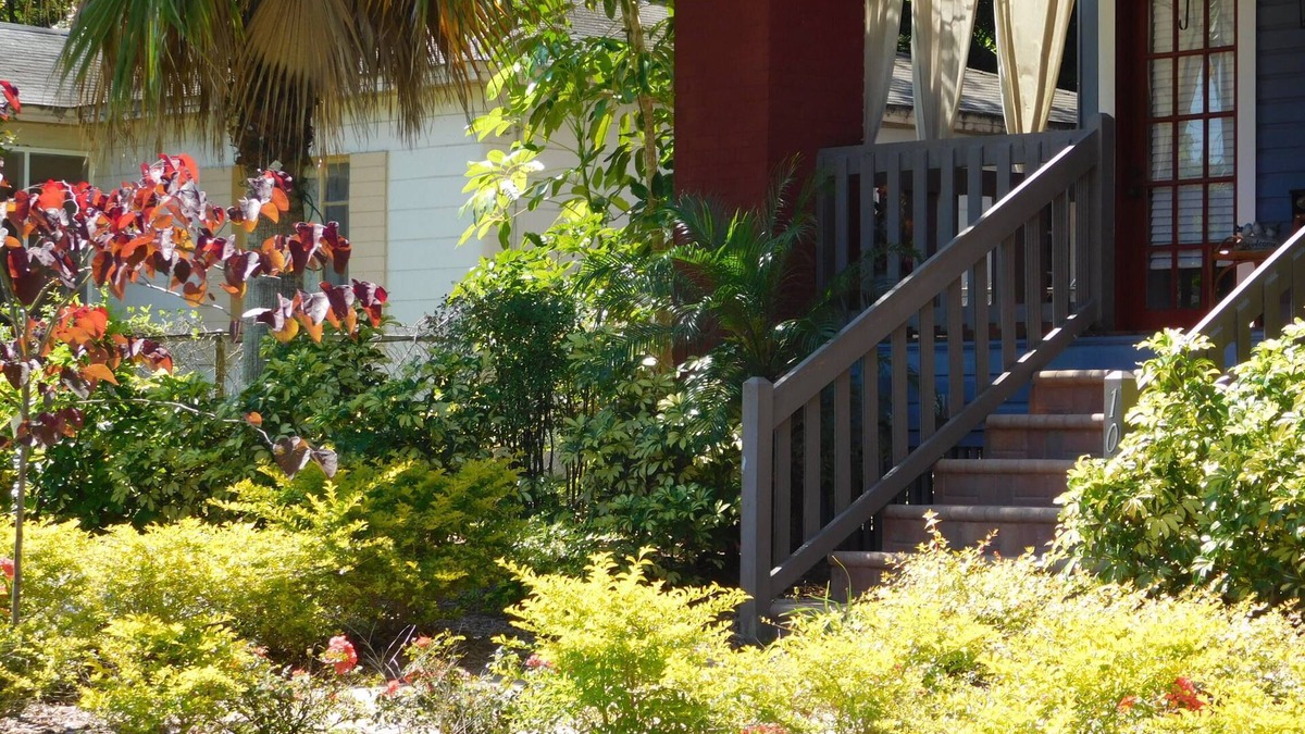 Old Seminole Heights Apartment | Spacious & Centrally Located; Busch Gardens Ybor Medical USF Sports Conventions