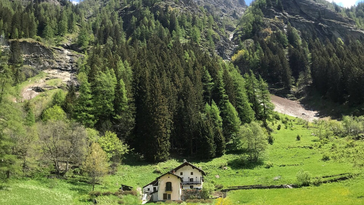 Gressoney-Saint-Jean Ski Chalet | Spacious chalet in peaceful environment, 300m from village center, near slopes