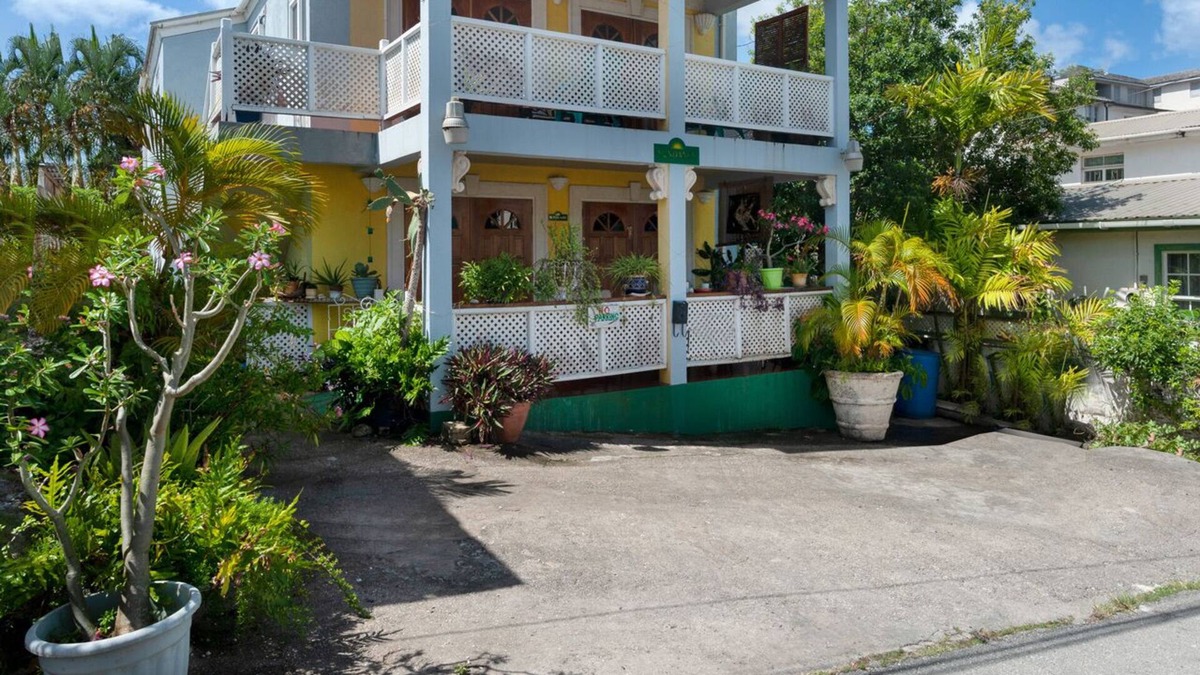 Old Trees Bay Apartment | Spacious Comfortable Apartments Steps From The Beach At Paynes Bay. Sunbeams.