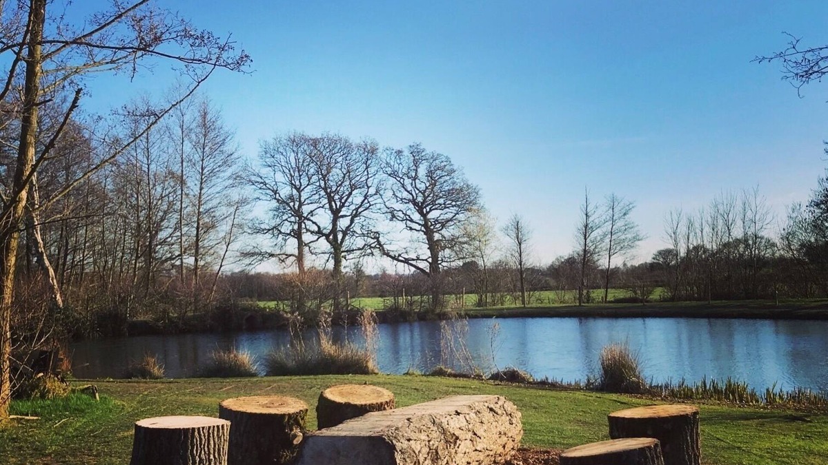 Lydney Apartment | Spacious Eco, Pet Friendly Apartments, Forest of Dean, Wye Valley