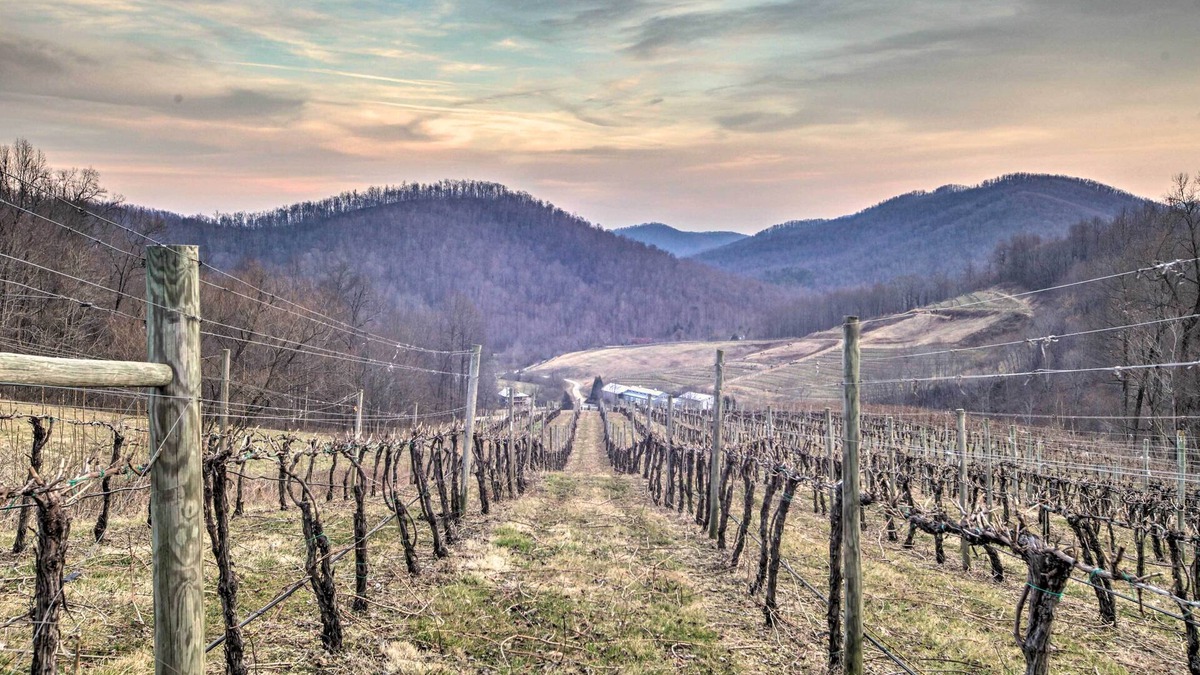 Faber House | Spacious Faber Home w/Yard, Steps to Winery!