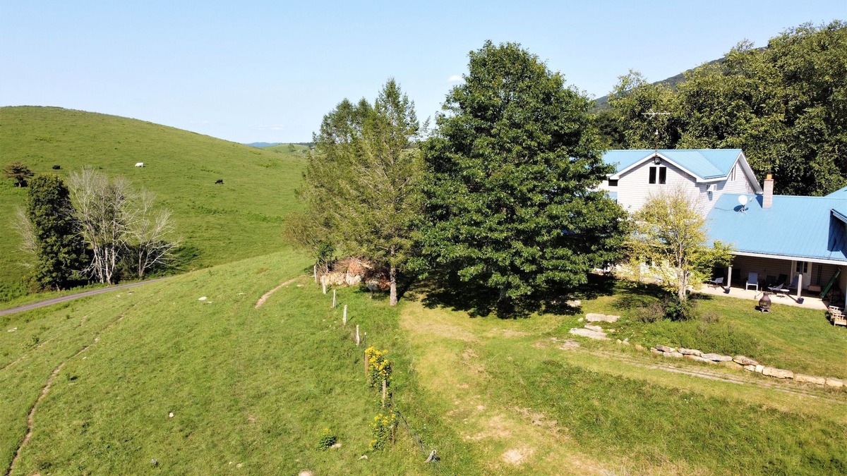 Simmonsville House | Spacious Farm with Mountain Views 30min to Bburg