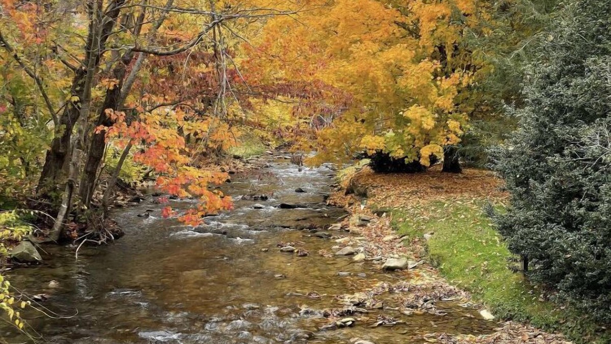 Valley Creek Run Cabin | Spacious Farmhouse in Maggie Valley