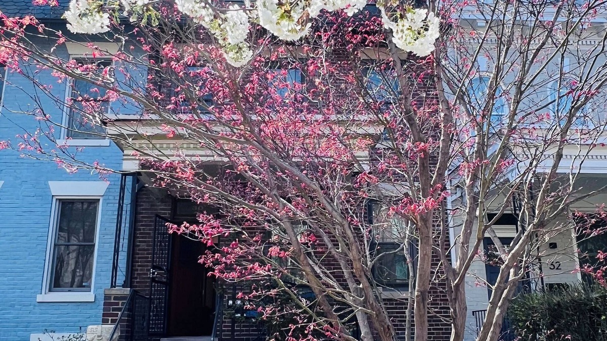 Bloomingdale House | Spacious four-bed, three-and a half- bath townhome in Washington DC.