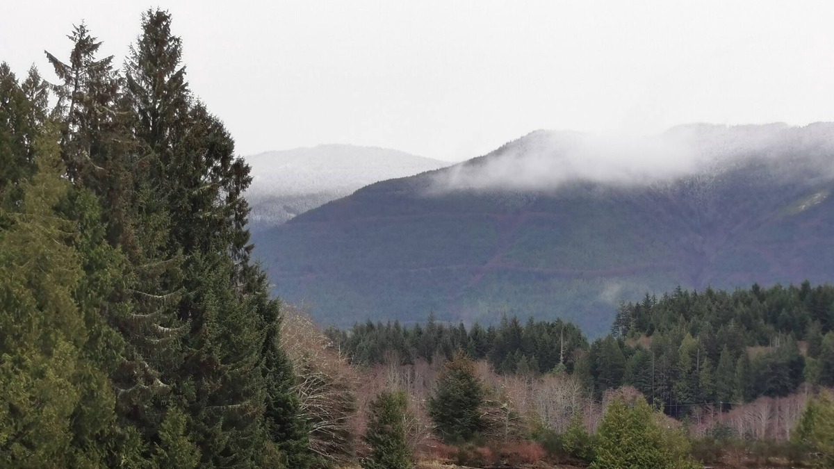 Ucluelet House | Spacious Getaway @ Swan View