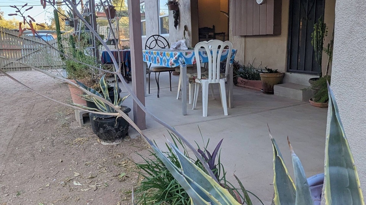 Blenman-Elm House | Spacious house on huge Sonoran Desert landscape lot!