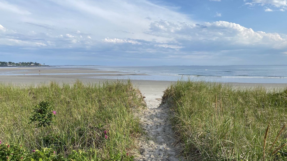 Scarborough House | Spacious Ocean View Getaway, 3 min walk to beach with large fenced in yard