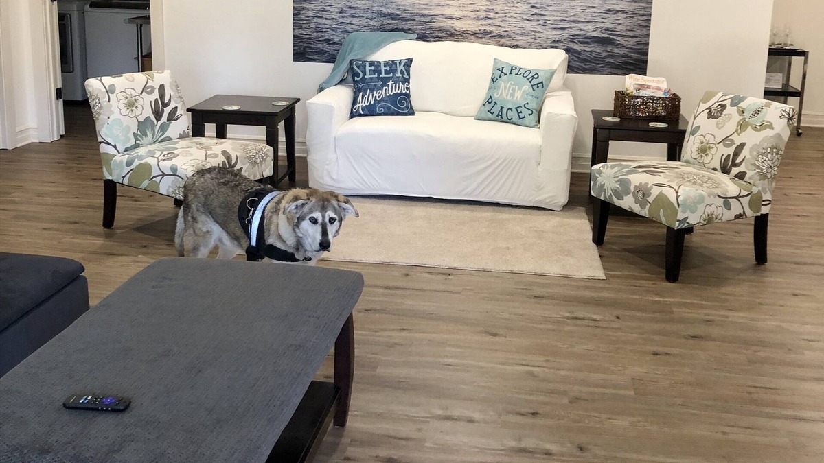 Anacortes House | Spacious, one level pet-friendly gem with fenced yard, 5 minutes from the ferry!