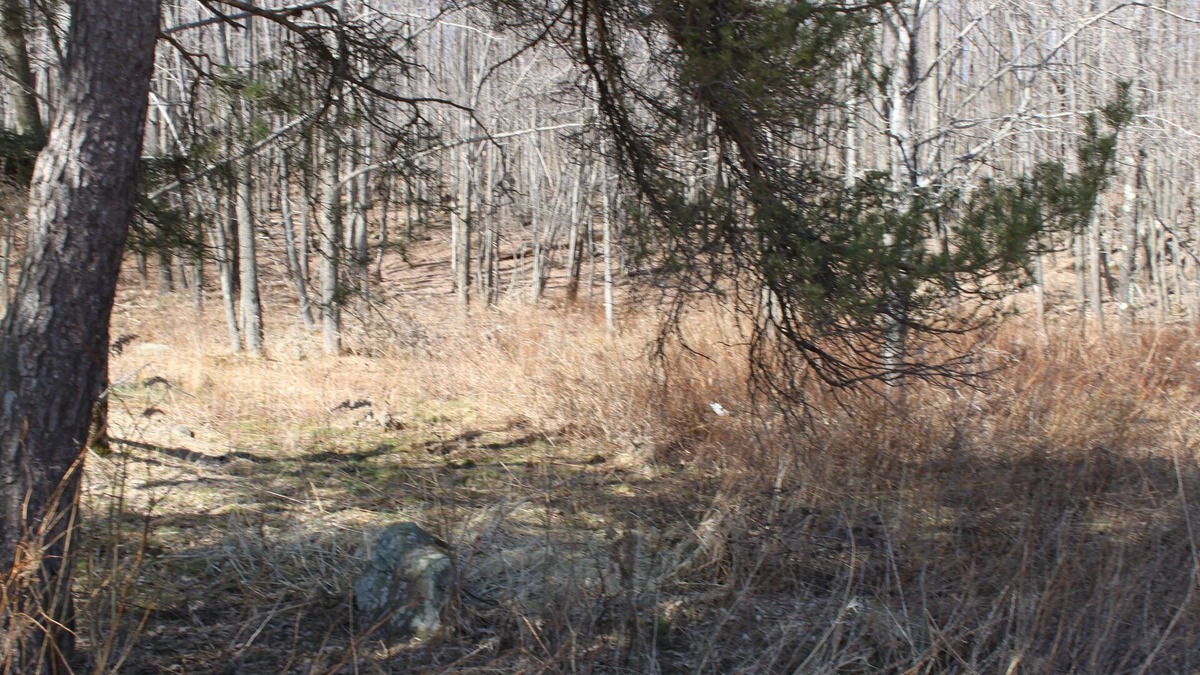Lakewood House | Spacious PA family home,near ski resort,fly fishing,snowmobile trail, sleeps 12+
