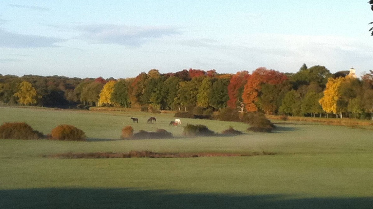 Plesse House | Spacious, quiet house with lovely countryside views, overlooking the river.