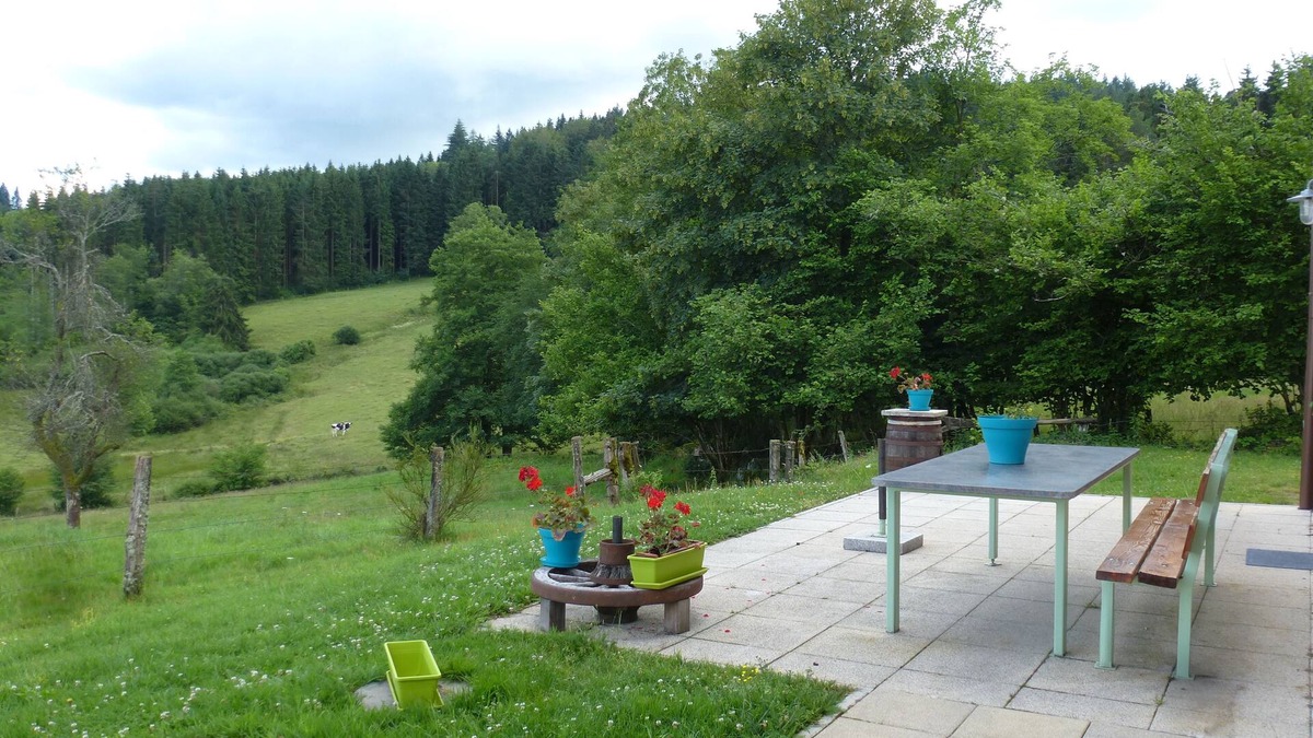 Remiremont Cottage | Spacious renovated farmhouse for 11 people